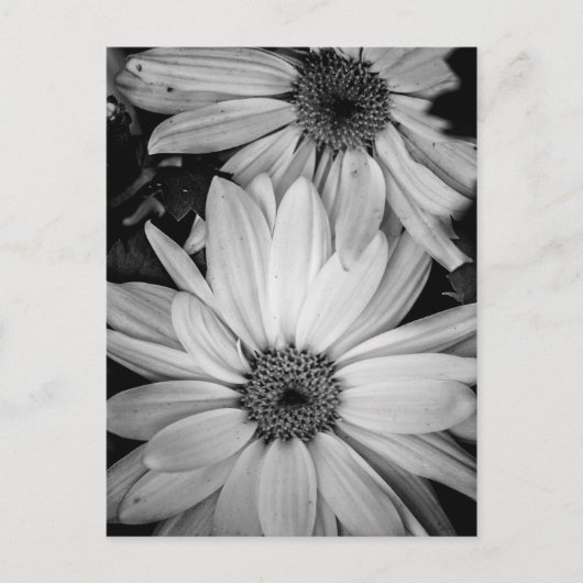 Blume Postkarte (Vorderseite)