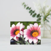 Blume Postkarte (Stehend Vorderseite)
