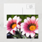 Blume Postkarte (Vorne/Hinten)