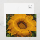 Blume Postkarte (Vorne/Hinten)