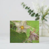 Blume Postkarte (Stehend Vorderseite)