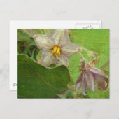 Blume Postkarte (Vorne/Hinten)