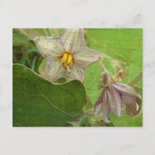 Blume Postkarte