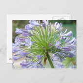 Blume Postkarte (Vorne/Hinten)