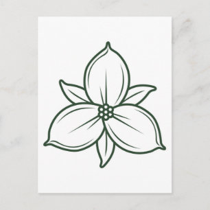 Blume Postkarte