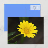 Blume Postkarte (Vorne/Hinten)