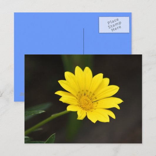 Blume Postkarte (Vorne/Hinten)