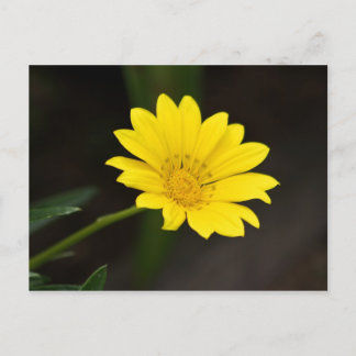 Blume Postkarte
