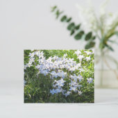 Blume Postkarte (Stehend Vorderseite)