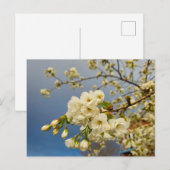 Blume Postkarte (Vorne/Hinten)