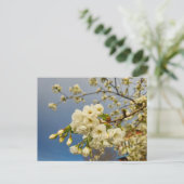 Blume Postkarte (Stehend Vorderseite)