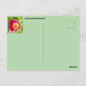 Blume Postkarte (Rückseite)