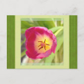 Blume Postkarte (Vorderseite)