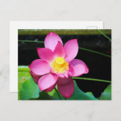 Blume Postkarte (Vorne/Hinten)