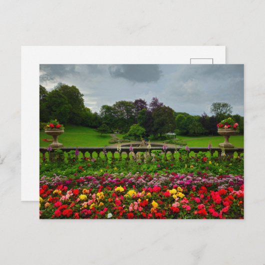 Blume Postkarte (Vorne/Hinten)