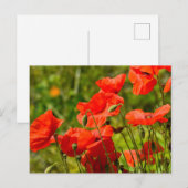 Blume Postkarte (Vorne/Hinten)