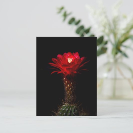 Blume Postkarte (Stehend Vorderseite)