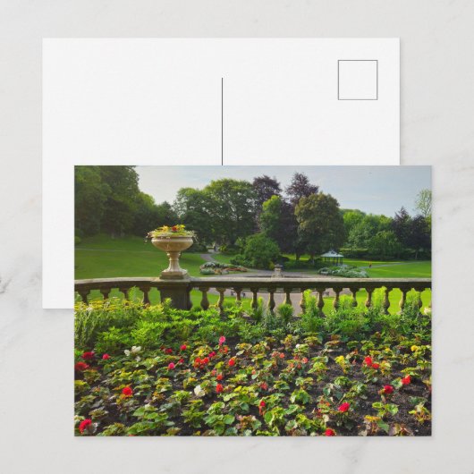 Blume Postkarte (Vorne/Hinten)