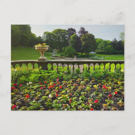 Blume Postkarte (Vorderseite)