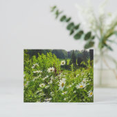 Blume Postkarte (Stehend Vorderseite)