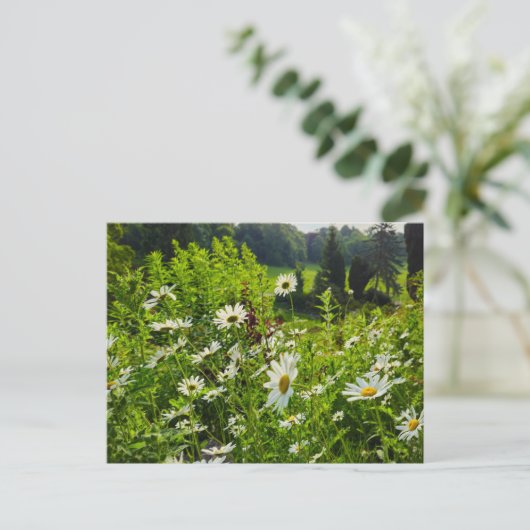 Blume Postkarte (Stehend Vorderseite)