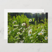 Blume Postkarte (Vorne/Hinten)