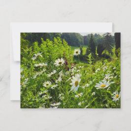 Blume Postkarte