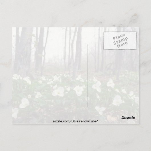 Blume Postkarte (Rückseite)