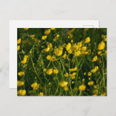 Blume Postkarte (Vorne/Hinten)