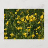 Blume Postkarte (Vorderseite)