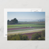 Blume Postkarte (Vorne/Hinten)