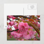 Blume Postkarte (Vorne/Hinten)