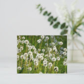 Blume Postkarte (Stehend Vorderseite)