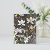 Blume Postkarte (Stehend Vorderseite)