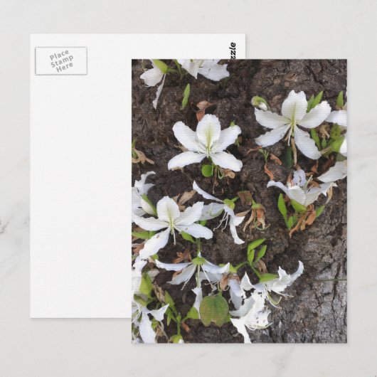 Blume Postkarte (Vorne/Hinten)