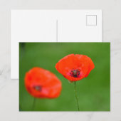 Blume Postkarte (Vorne/Hinten)