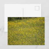 Blume Postkarte (Vorne/Hinten)