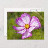 Blume Postkarte (Vorne/Hinten)