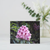 Blume Postkarte (Stehend Vorderseite)