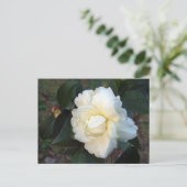 Blume Postkarte (Stehend Vorderseite)