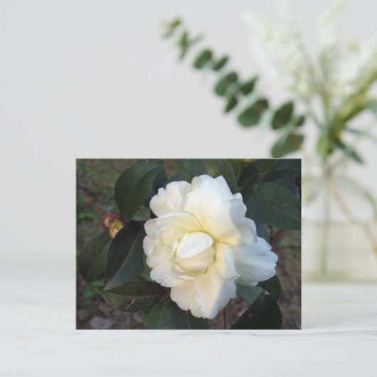 Blume Postkarte (Stehend Vorderseite)