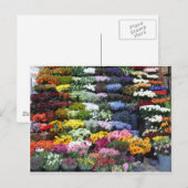 Blume Postkarte (Vorne/Hinten)