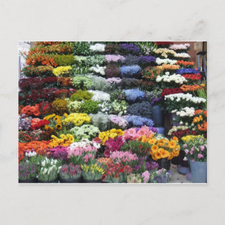 Blume Postkarte
