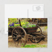 Blume Postkarte (Vorne/Hinten)
