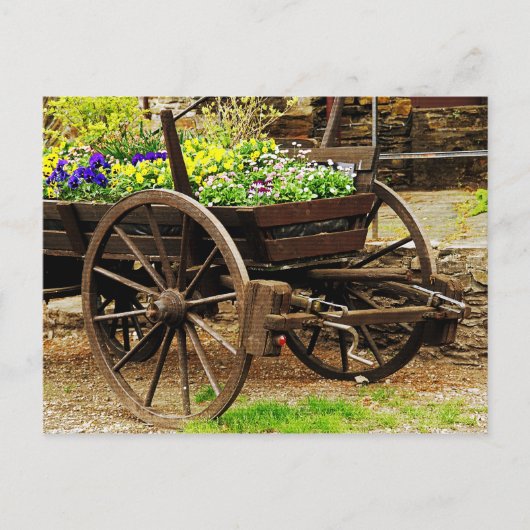 Blume Postkarte (Vorderseite)
