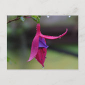 Blume Postkarte (Vorderseite)