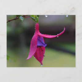 Blume Postkarte