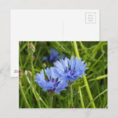 Blume Postkarte (Vorne/Hinten)