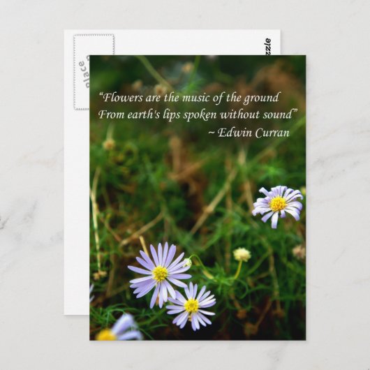 Blume Postkarte (Vorne/Hinten)