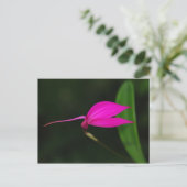 Blume Postkarte (Stehend Vorderseite)